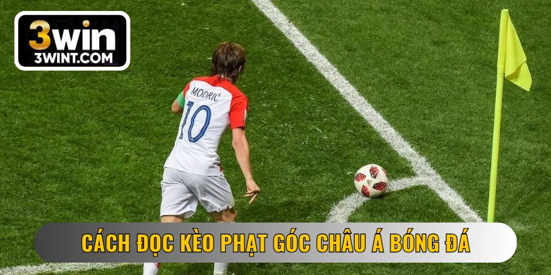 Cách đọc kèo phạt góc châu Á bóng đá