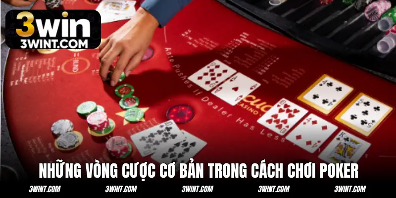 Những vòng cược cơ bản trong cách chơi Poker